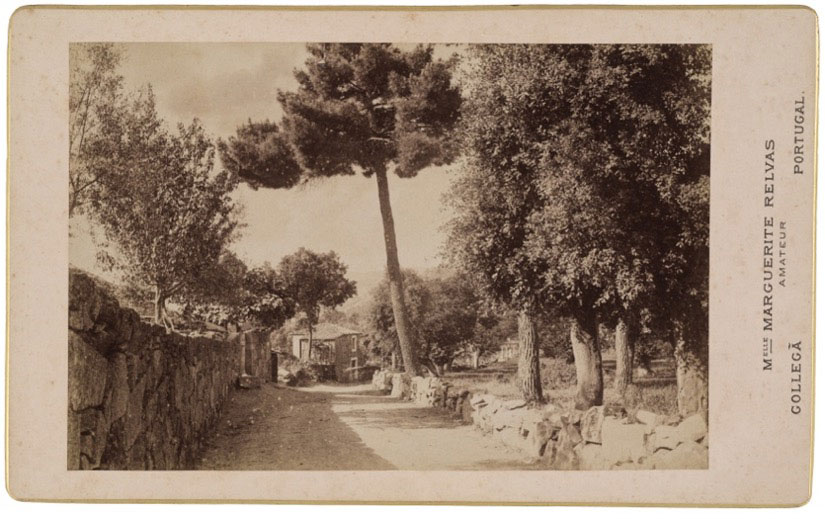 Paisagem de Vidago